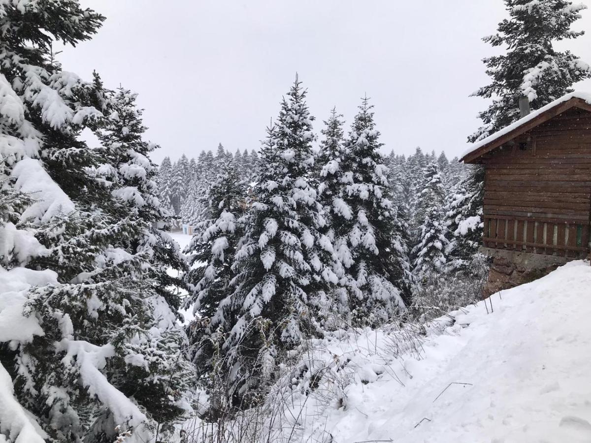 Elifim Resort Hotel Bolu Esterno foto